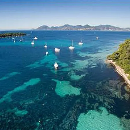 Beautiful Modern In The Heart Of Apartament Cannes